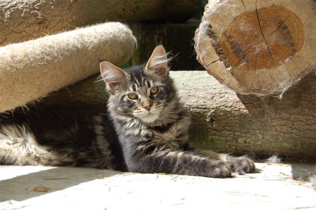 youp gaga en nina week 15 043.jpg